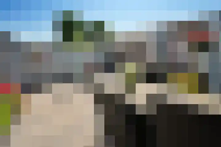 Duykerdam 28 Den Burg thumbnail 12