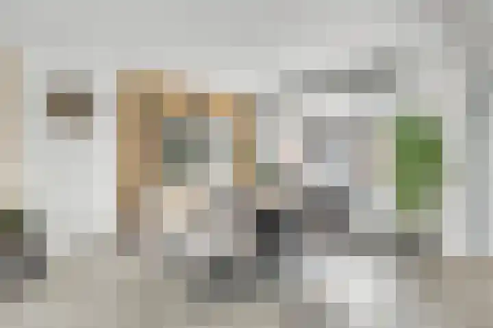 Duymaer van Twiststraat 8 Roermond thumbnail 6