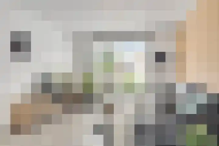 Duymaer van Twiststraat 8 Roermond thumbnail 9