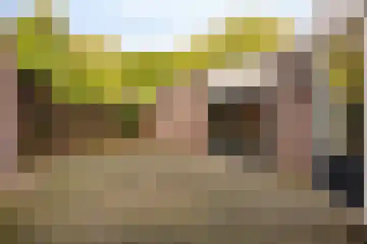 Duyn en Daelseweg 24 B Nuland thumbnail 29