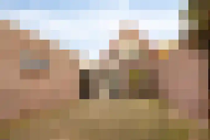 Duyn en Daelseweg 24 B Nuland thumbnail 30