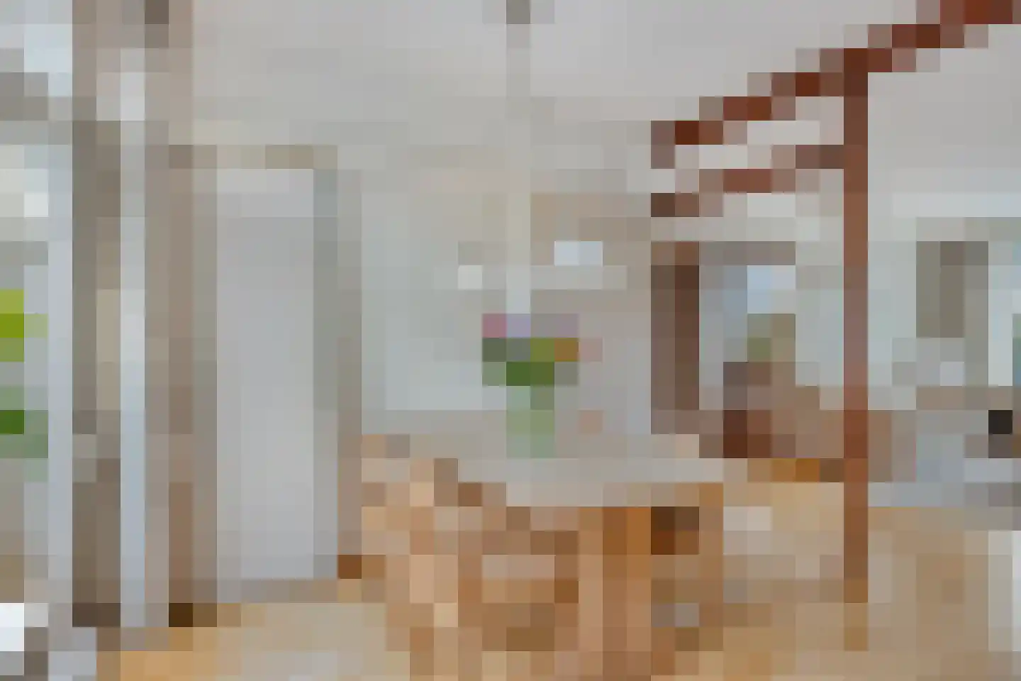 Duyncroft 10 Castricum thumbnail 11