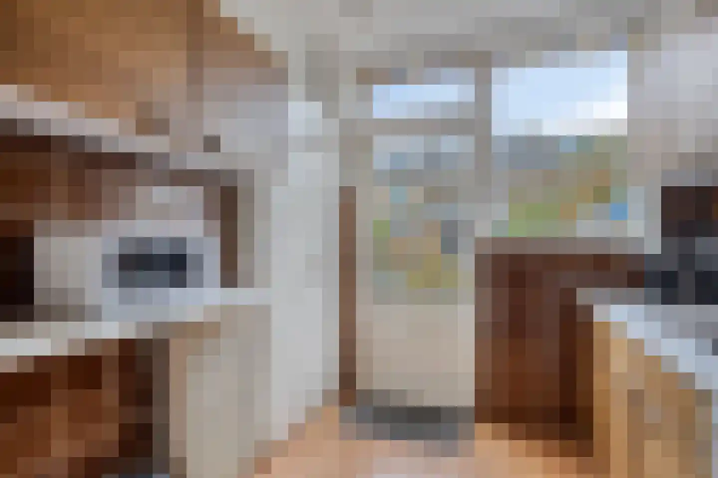 Duyncroft 10 Castricum thumbnail 13