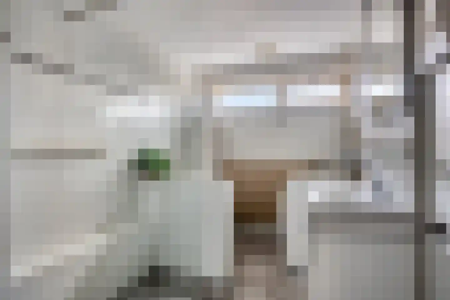 Duyncroft 10 Castricum thumbnail 30
