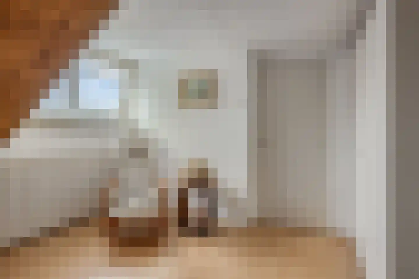 Duyncroft 10 Castricum thumbnail 35