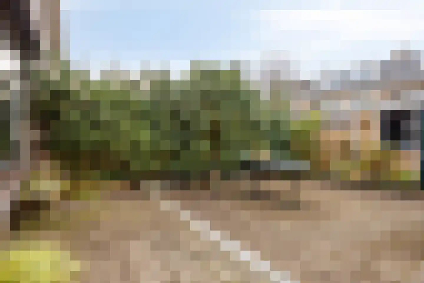 Duyncroft 10 Castricum thumbnail 5