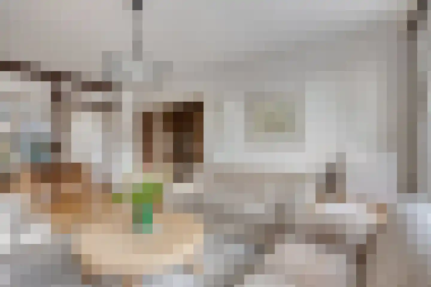 Duyncroft 10 Castricum thumbnail 6