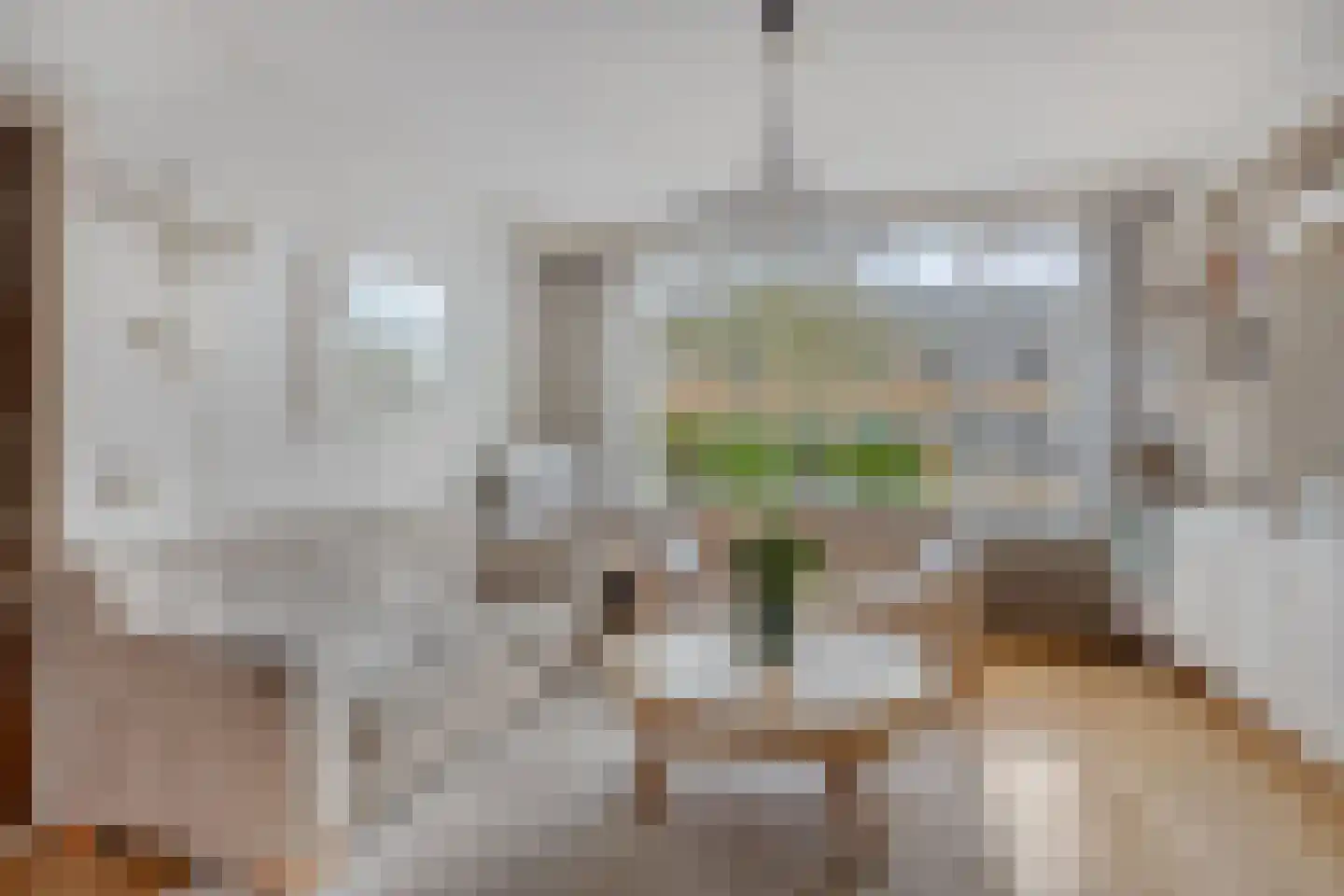 Duyncroft 10 Castricum thumbnail 7
