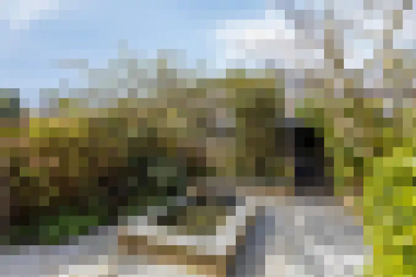 Duyncroft 8 Castricum thumbnail 39