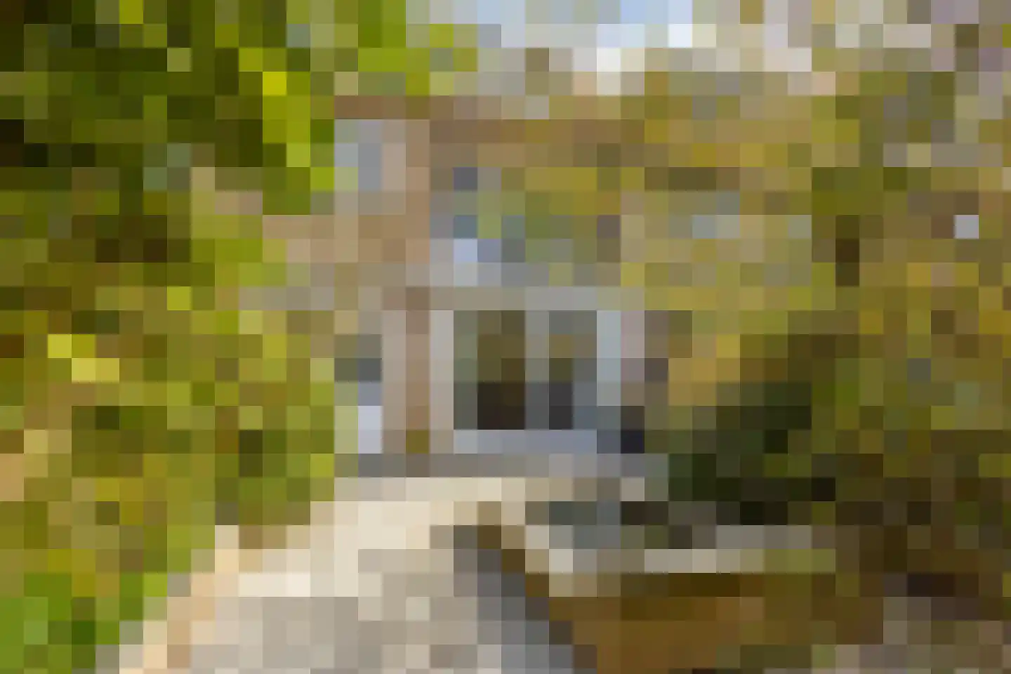 Duyncroft 8 Castricum thumbnail 40