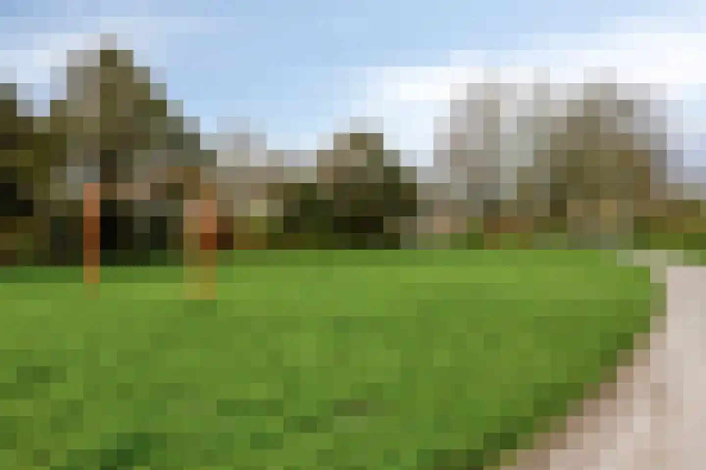 Duyncroft 8 Castricum thumbnail 43