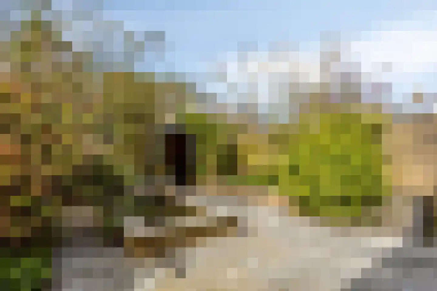 Duyncroft 8 Castricum thumbnail 9