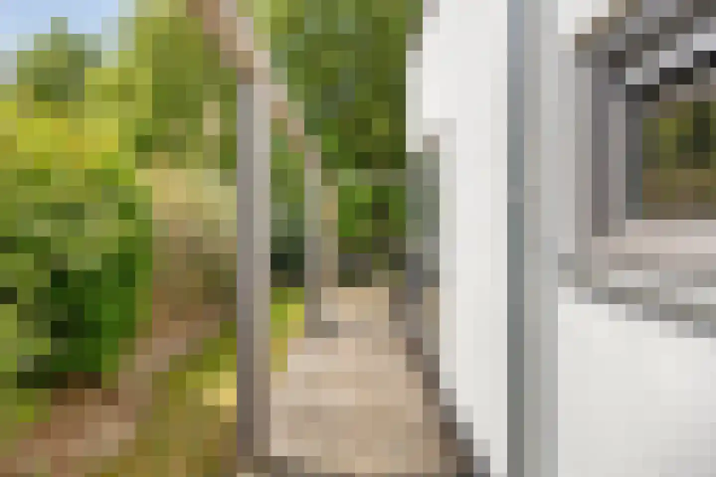 Duyndael 119 02 Ouddorp thumbnail 22