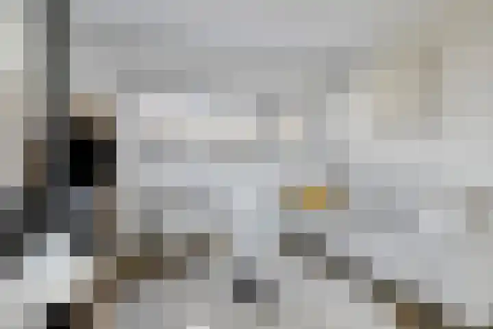 Duyndomein 18 Noordwijk thumbnail 10
