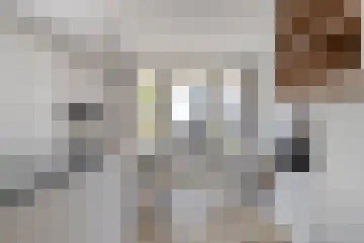 Duyndomein 18 Noordwijk thumbnail 17
