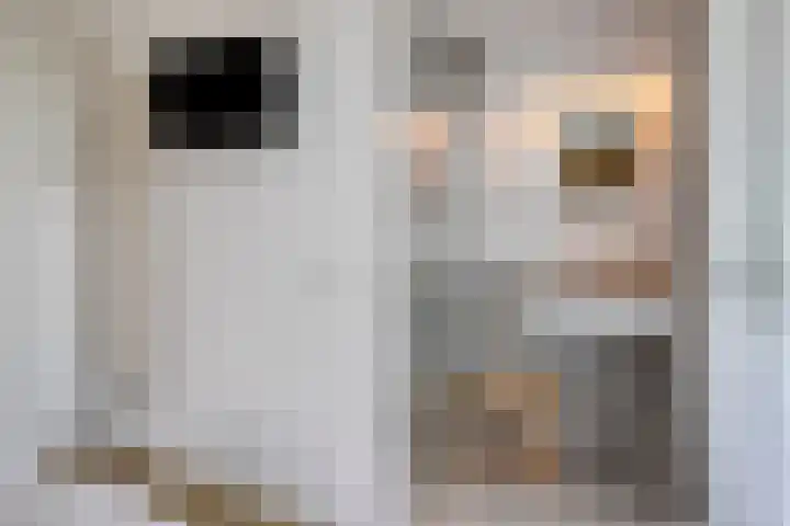 Duyndomein 18 Noordwijk thumbnail 20