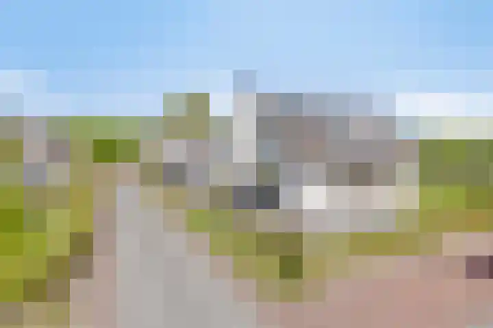 Duyndomein 18 Noordwijk thumbnail 35