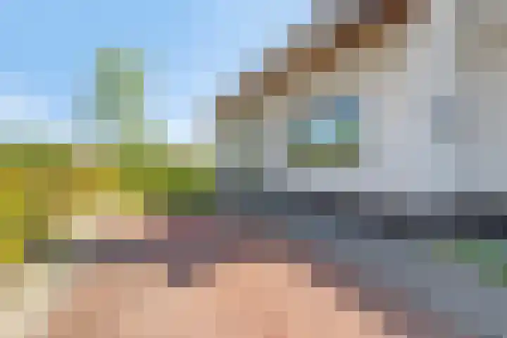 Duyndomein 18 Noordwijk thumbnail 39