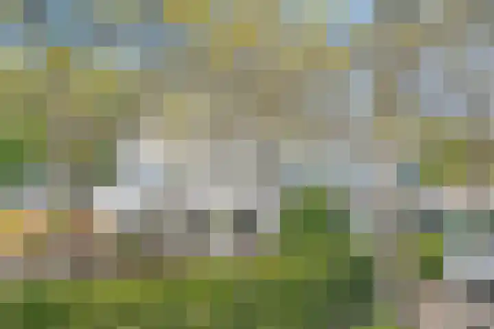 Duyndomein 18 Noordwijk thumbnail 41