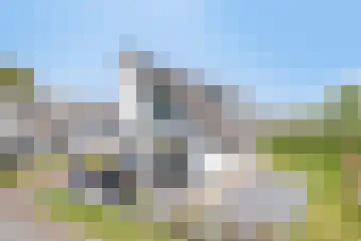 Duyndomein 18 Noordwijk thumbnail 45