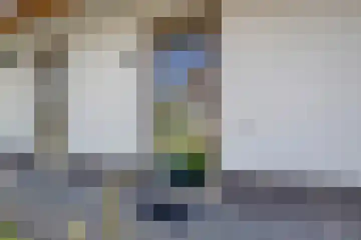 Duyndomein 18 Noordwijk thumbnail 6