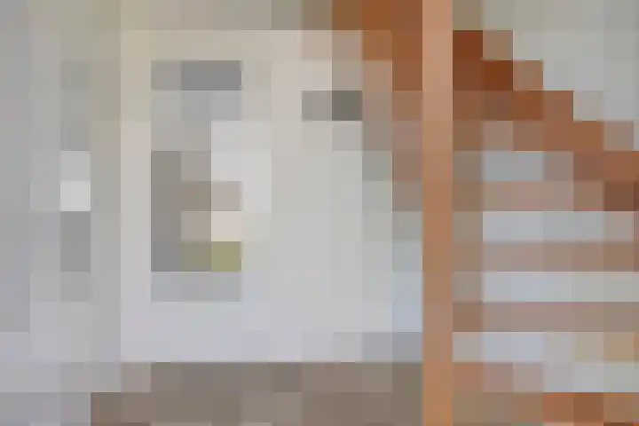 Duyndomein 18 Noordwijk thumbnail 7