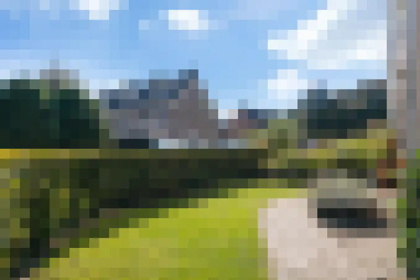 Duynenberg 9 Ermelo thumbnail 11