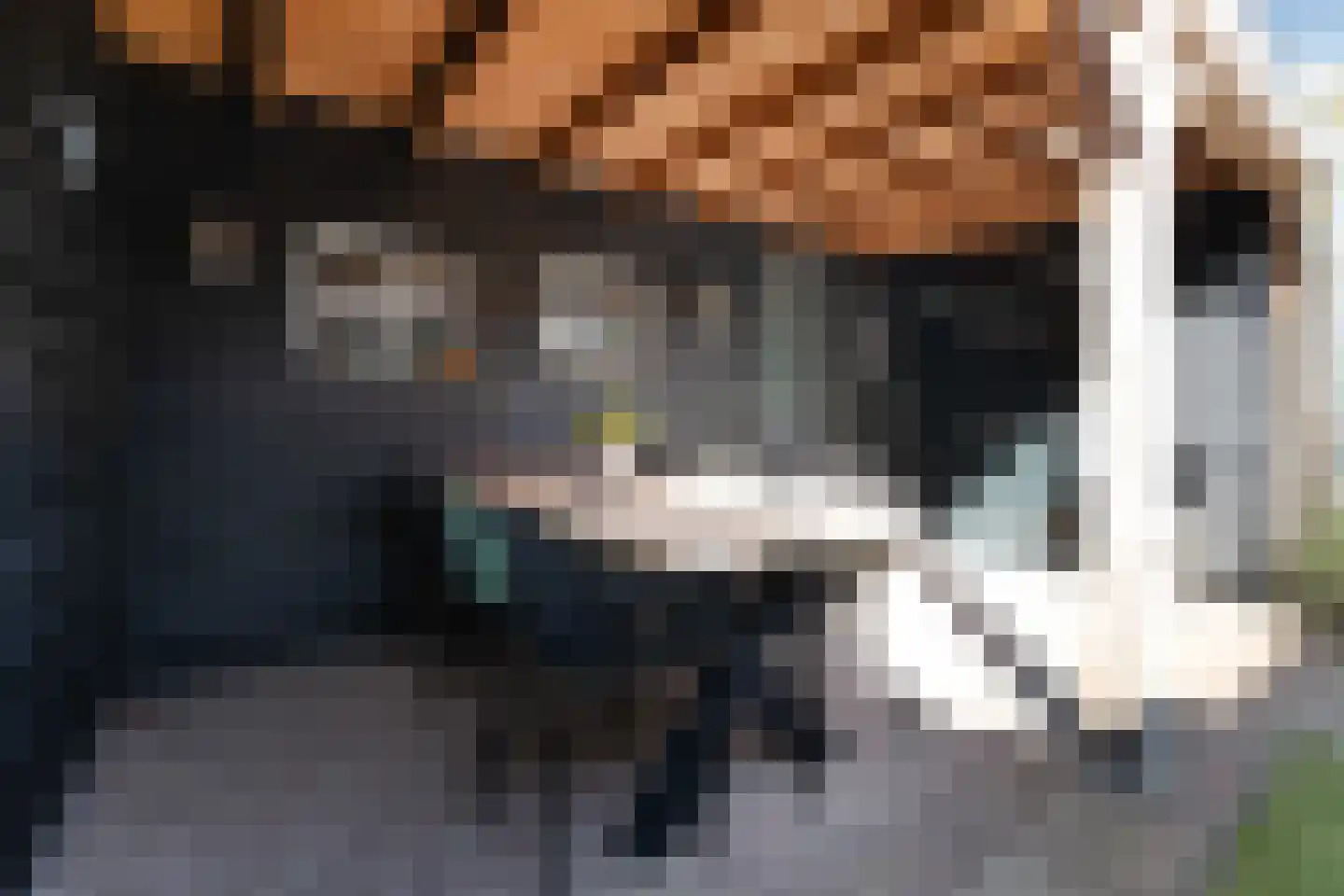 Duynenberg 9 Ermelo thumbnail 4