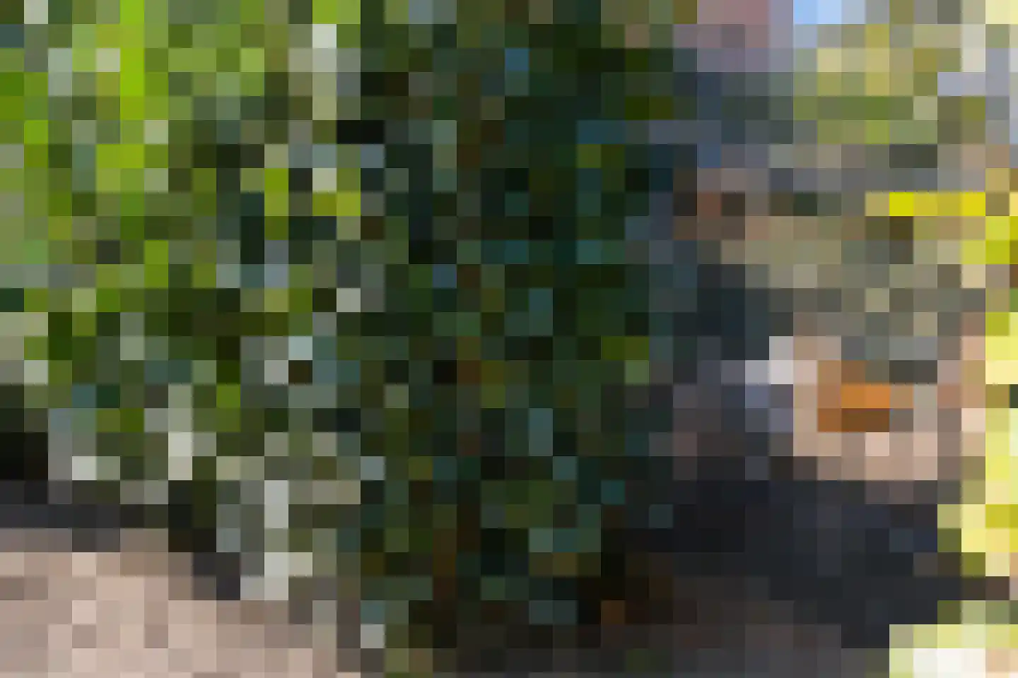 Duynenberg 9 Ermelo thumbnail 44