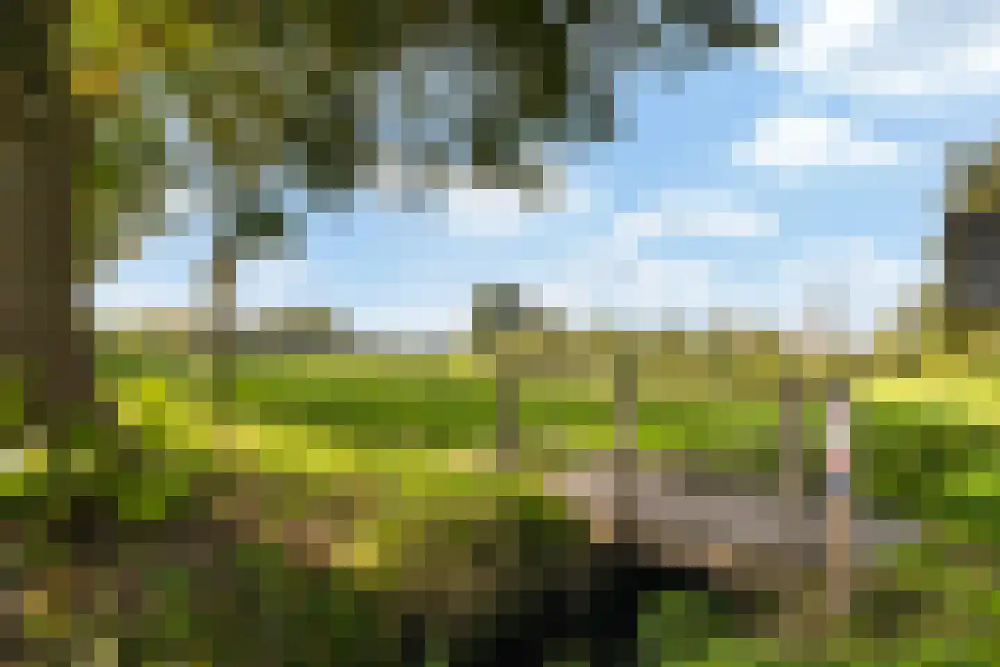 Duynenberg 9 Ermelo thumbnail 47