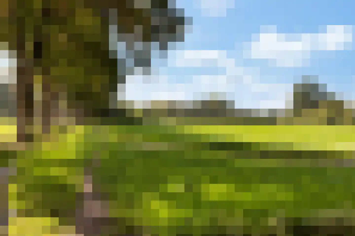 Duynenberg 9 Ermelo thumbnail 48