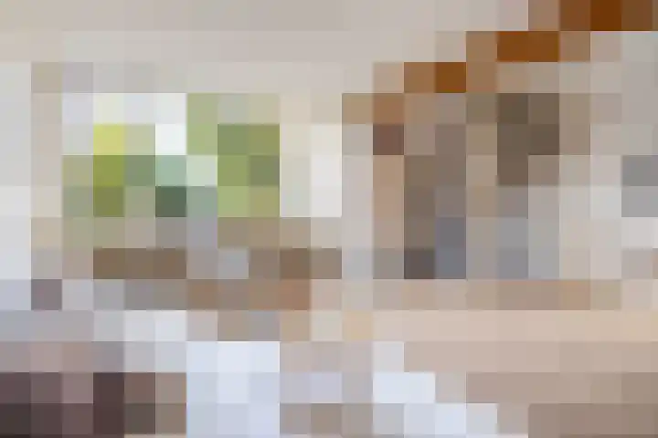 Duyst van Voorhoutweg 19 Renswoude thumbnail 11