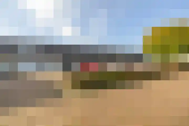 Duyst van Voorhoutweg 19 Renswoude thumbnail 36