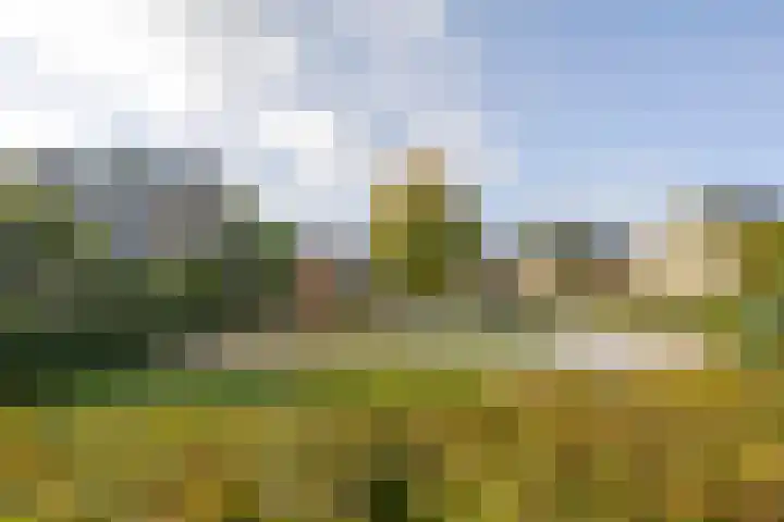 Duyst van Voorhoutweg 19 Renswoude thumbnail 39