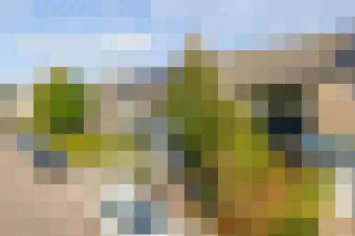 Duyst van Voorhoutweg 19 Renswoude thumbnail 5