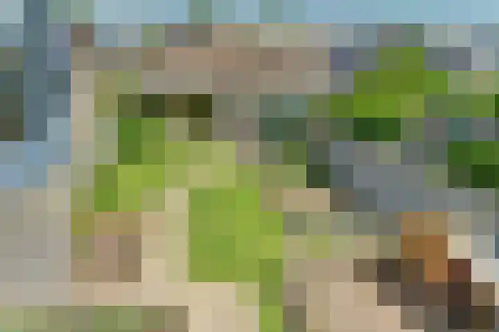 Duyst van Voorhoutweg 29 Renswoude thumbnail 16