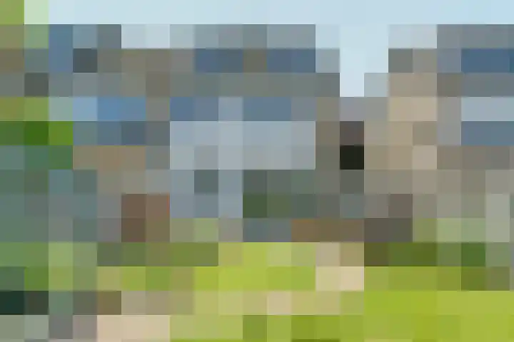 Duyst van Voorhoutweg 29 Renswoude thumbnail 18