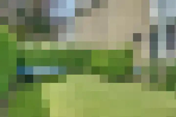 Duyst van Voorhoutweg 29 Renswoude thumbnail 8