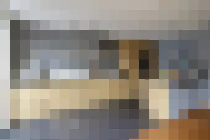 Duyst van Voorhoutweg 39 Renswoude thumbnail 11