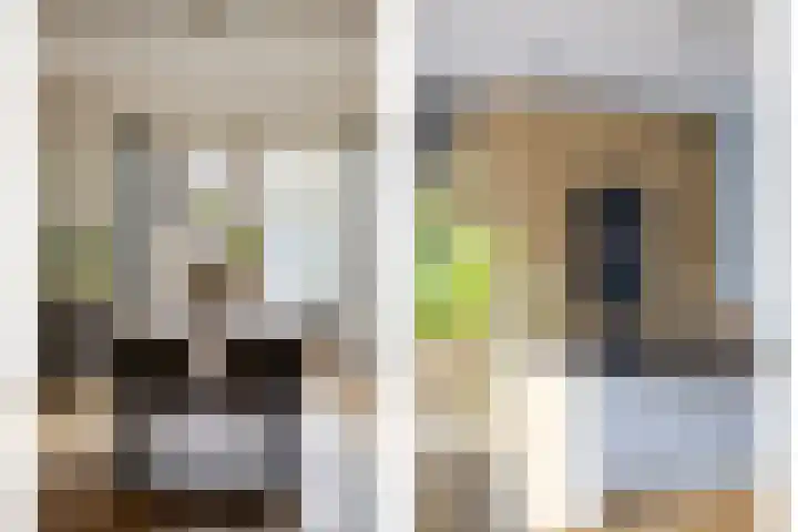 Duyst van Voorhoutweg 39 Renswoude thumbnail 14