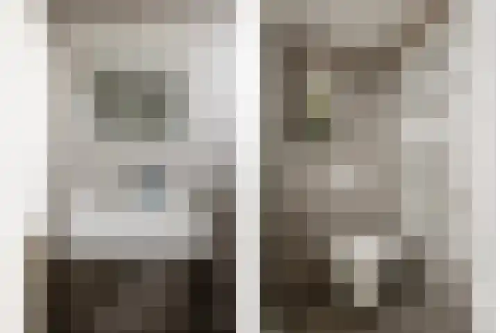 Duyst van Voorhoutweg 39 Renswoude thumbnail 21