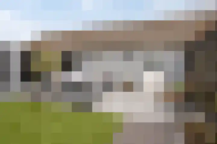 Duyst van Voorhoutweg 39 Renswoude thumbnail 32