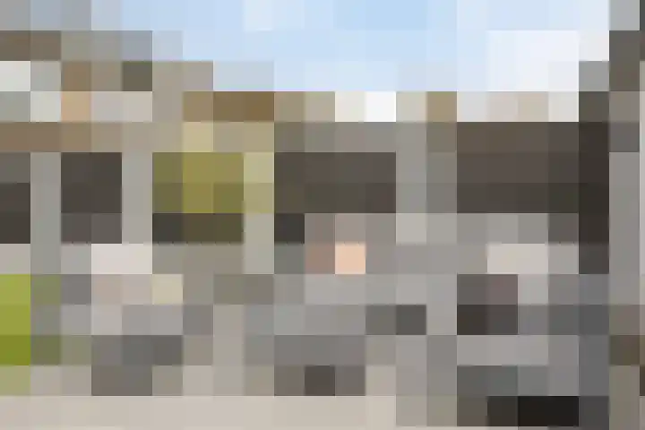 Duyst van Voorhoutweg 39 Renswoude thumbnail 33