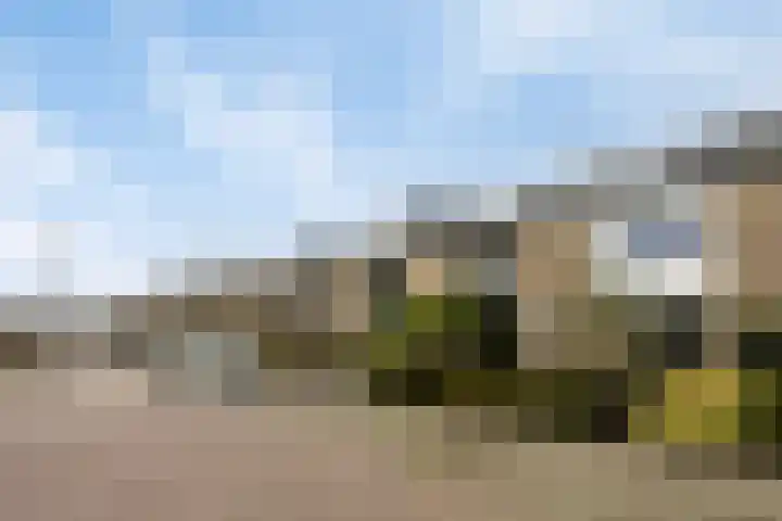 Duyst van Voorhoutweg 39 Renswoude thumbnail 34