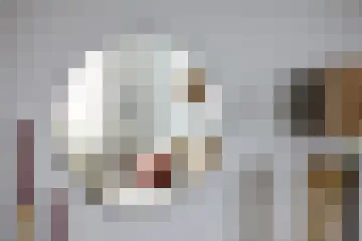 Duyst van Voorhoutweg 39 Renswoude thumbnail 7