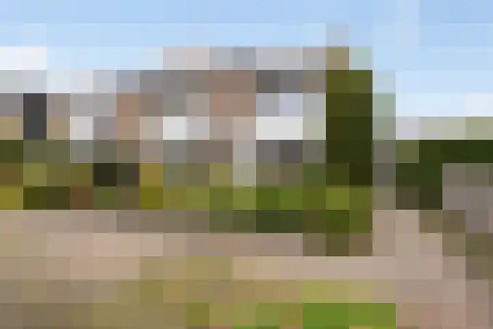 Duyst van Voorhoutweg 43 Renswoude thumbnail 40