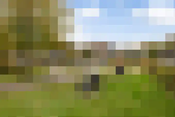 Duyst van Voorhoutweg 43 Renswoude thumbnail 43