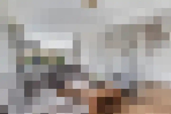 Duyst van Voorhoutweg 43 Renswoude thumbnail 6