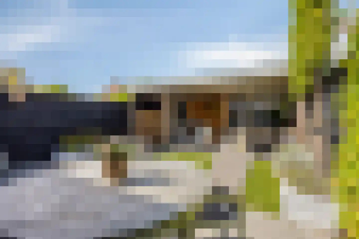 Duyvecamp 14 Heenvliet thumbnail 33