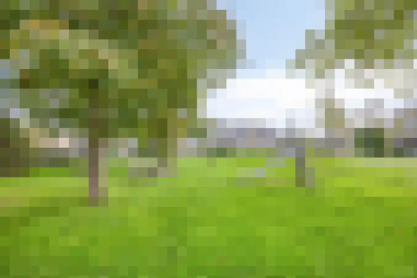 Duyvecamp 14 Heenvliet thumbnail 43